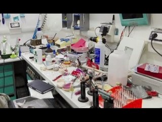 Palma Campania (NA) - Falso dentista ed evasore fiscale: denunciato 36enne (05.05.16)