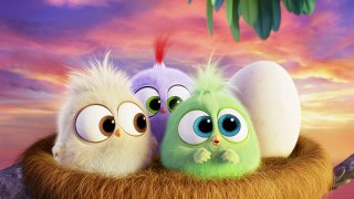 The HATCHLINGS Mother's Day Greeting! - ANGRY BIRDS