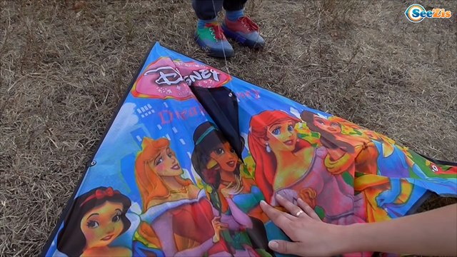 ✔ Беби Борн и девочка Ярослава запускают Воздушного Змея / Baby Born and girl Yaroslava fly a kite