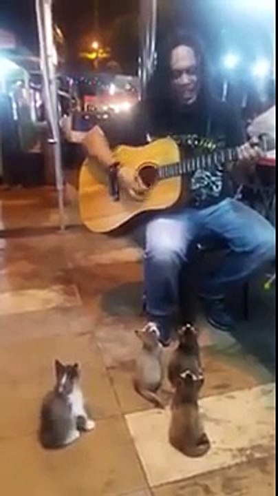 Inizia A Suonare Un Pezzo Con La Sua Chitarra, Ma Guardate Chi Arriva Ad Ascoltarlo. Wow!