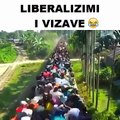 Liberalizimi i Vizave