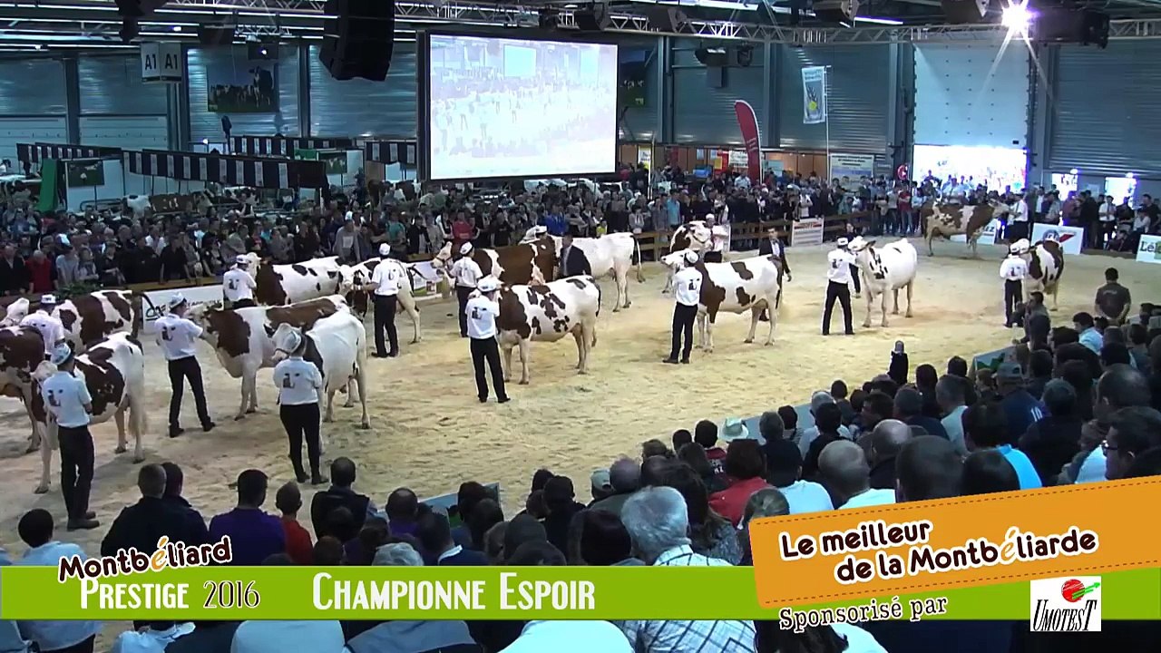 Montbéliard Prestige Streaming Live (6)