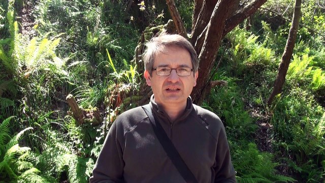 Ecologistas denuncian que contaminación en Avilés triplicó el valor de alerta