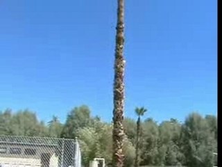 FUNK 80 VOL.3 HOLIDAYS 2007 IN CALIFORNIA