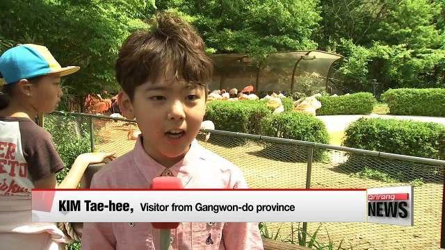 Seoul Children's Grand Park offers special Children's Day events