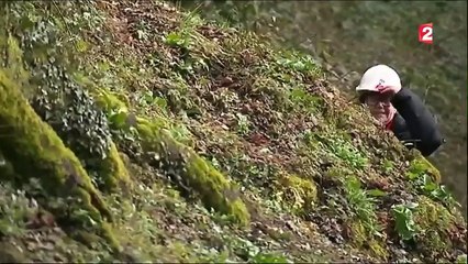 Feuilleton : les sillons de la mémoire (4/5)