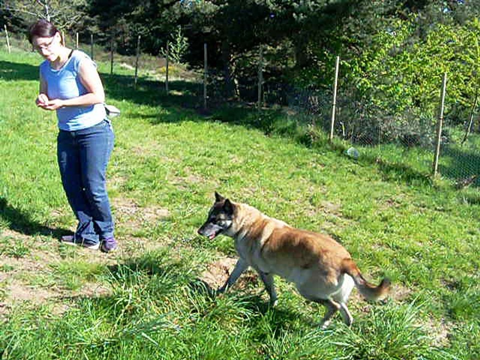 Carbone en pleine étude de candidature...