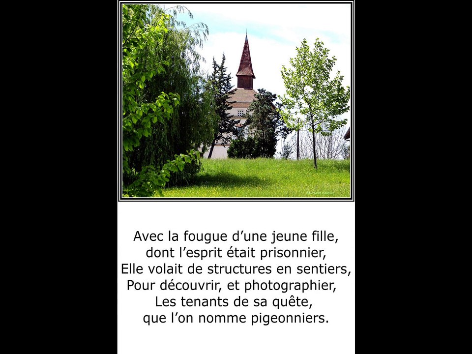 ©HDPigeonnierpoèmeThomasandréphotophotopeintureMartine Anciauxcreatorofthephotopaintingmondetvwebsaisonvie animal oiseau©