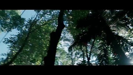 Expendables 2 : Unité spéciale