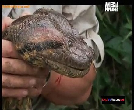 Animal Planet Safari 10th December 2014 Video Watch Online pt3