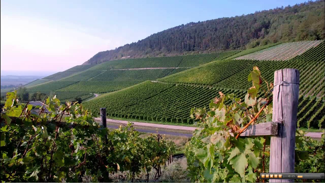 how to hide the tagged photos or images in your Facebook account one minute