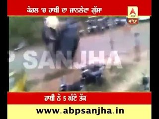 Angry elephant crushed dozens of vehicles