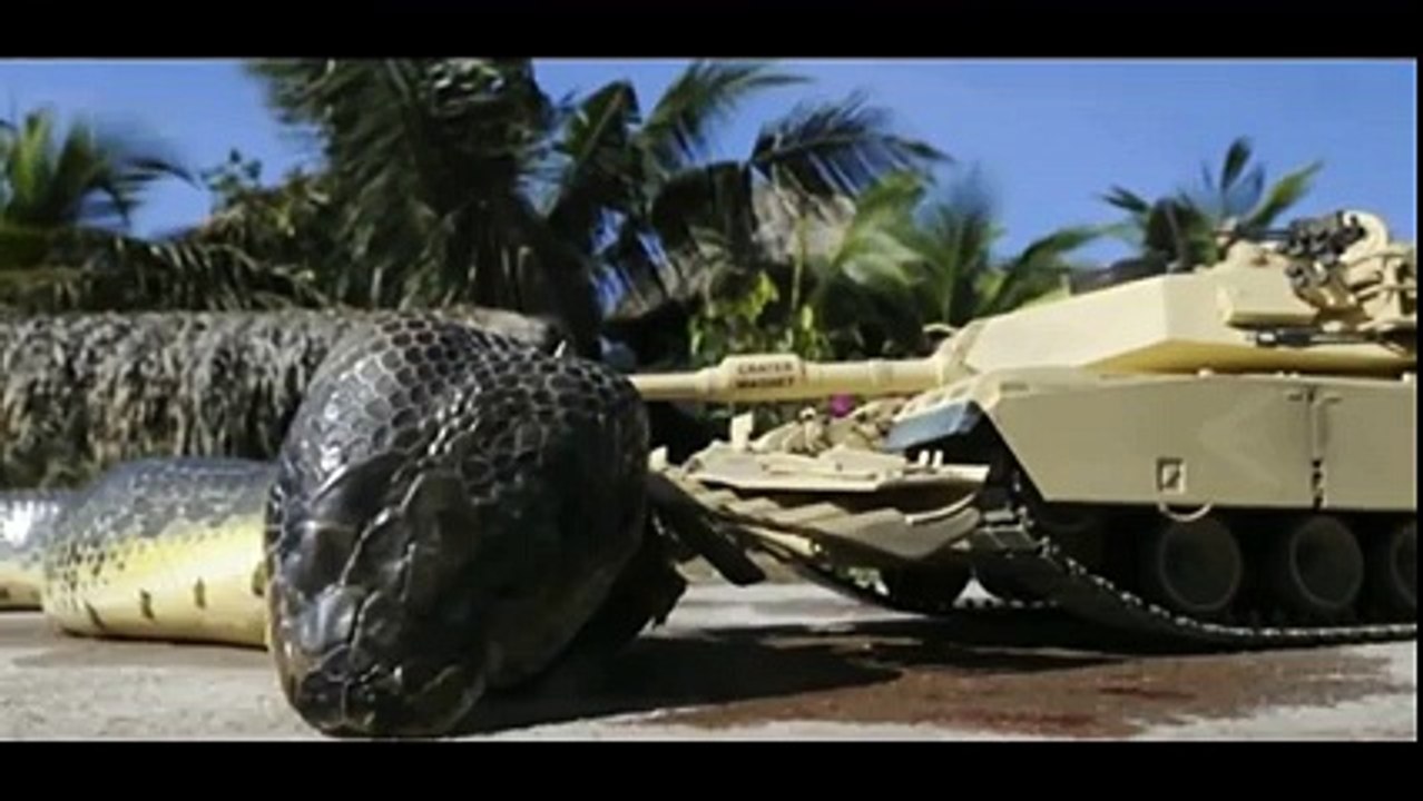 BU YILANI GÖRENLER KORKUDAN KÜÇÜK DİLİNİ YUTUYOR By Daraske