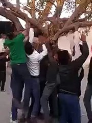 Funny Whatsapp Video | WhatsApp Video Funny | Funny Fails | Viral Video