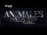 ANIMALES FANTÁSTICOS Y DÓNDE ENCONTRARLOS Trailer 2 subtitulado
