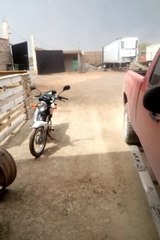 F1 Tornado in Mexico on April 23rd, 2016