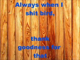 When my bird shit English version