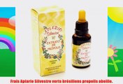 JLBrazil  Boîte complète de 25 flacons dextrait de propolis alcoolisé traditionnel Apiario