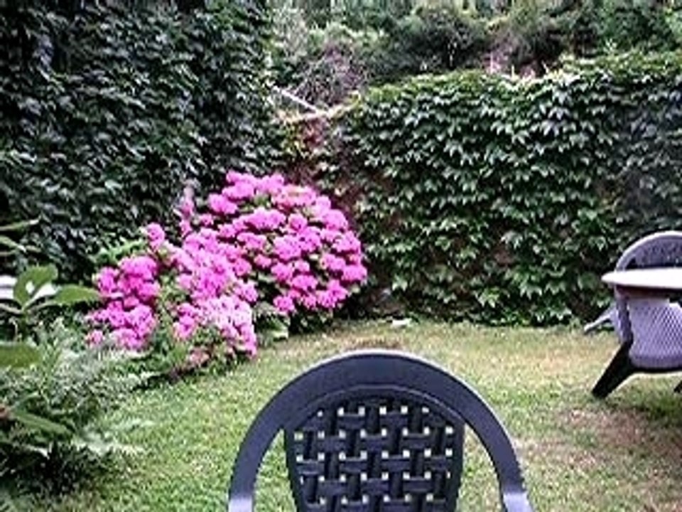 Un Tas d'Amis