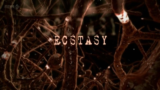 BBC Как действуют Наркотики: Экстази (MDMA)