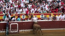 TUDELA vacas plaza domingo 28 julio 2013