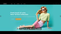 Ves Fasony Responsive Free Magento 2 Theme