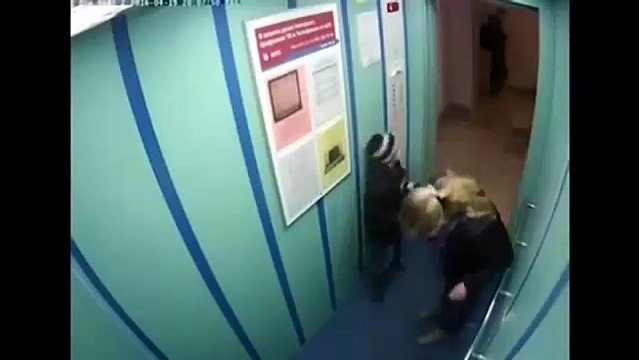 Пёс чуть не повесился в лифте