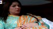 Mohe Piya Rung Laaga Episode 63 on Ary Digital Top Pak Drama - 05 May 2016