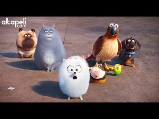 La Vida Secreta de tus Mascotas Trailer 2 en español