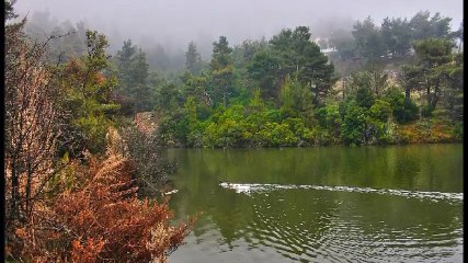 ΤΙ ΝΑ ΠΟΥΜΕ ΤΙ & ΓΙΑΝΝΗΣ ΠΕΤΡΟΠΟΥΛΟΣ