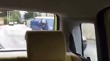 Monreale, getta cane nel cassonetto ma viene ripreso col telefonino