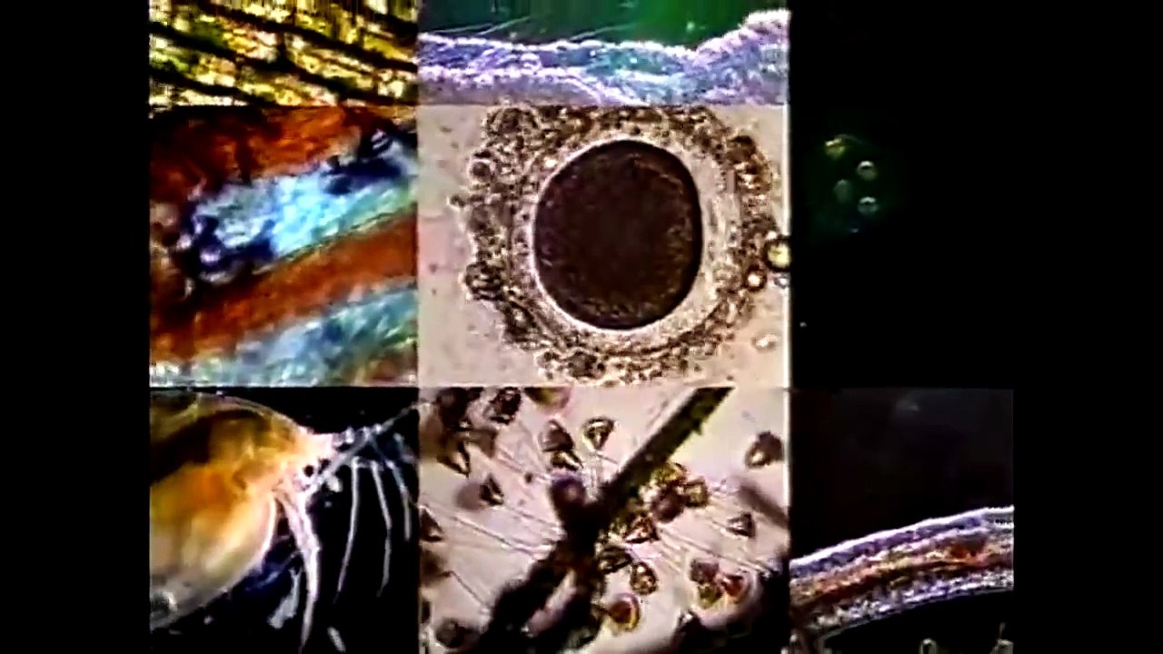 宇宙 ～未知への大紀行～「第09集 エピローグ」