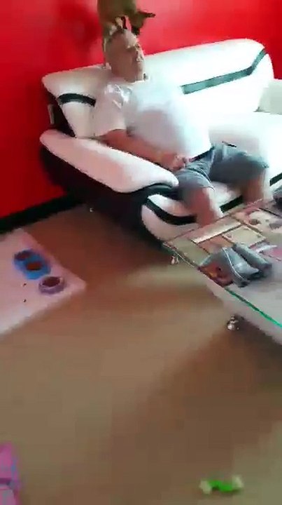 Loro pelucero
