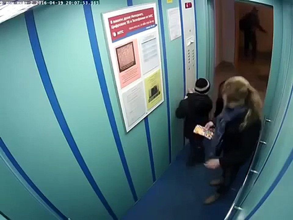 Dog almost died hanged by elevator