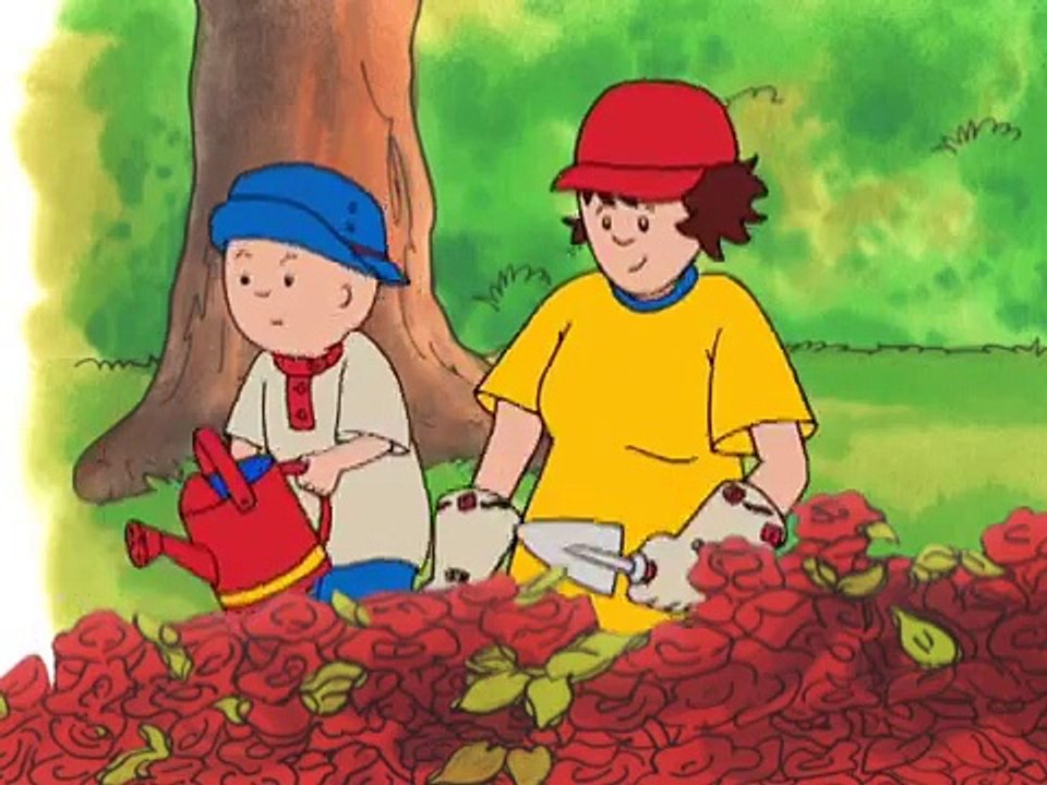 Caillou ESPAÑOL - Caillou el explorador de la jungla (S01E62)