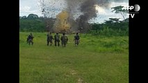 Peru destroys Bolivian plane loaded with 70 kg of cocaine