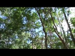 BLOGDOANDERSON | BATV: quinta-feira, 6 DE MAIO DE 2016