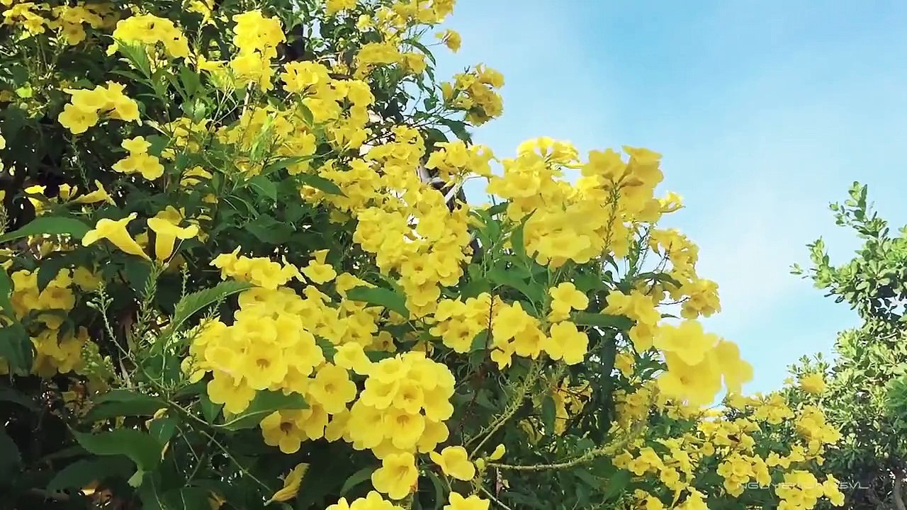 [1tour.vn] Chia sẻ phong cảnh đảo Bình Lập - Cam Ranh