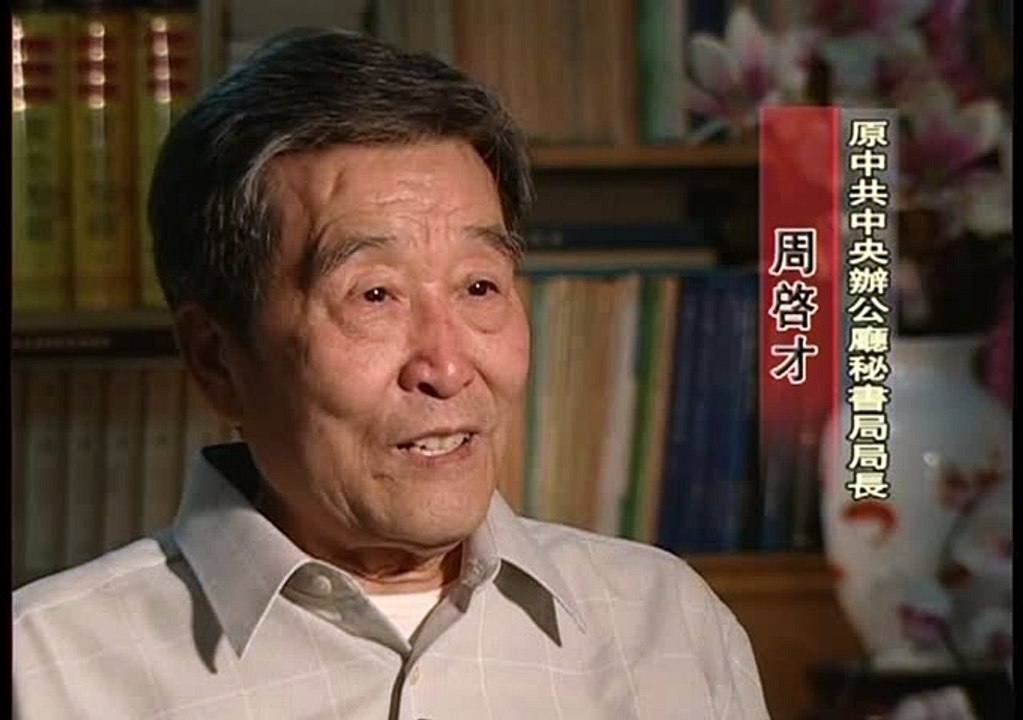 记录片-抓捕四人邦006A