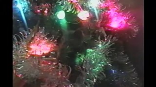 Cats In Christmas Trees- Compilation