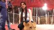 See What Capital Tv Host Rabi Pirzada Doing With Lion |