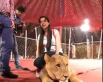 See What Capital Tv Host Rabi Pirzada Doing With Lion |