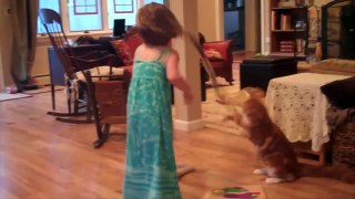 Cats Vs. Kids - Who Is Cuter- - Compilation