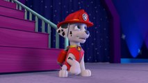 PAW Patrol pups save friendship day song