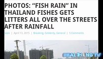 Fish rain in Thailand