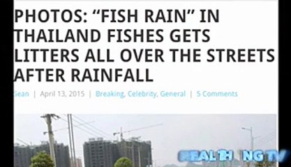 Fish rain in Thailand