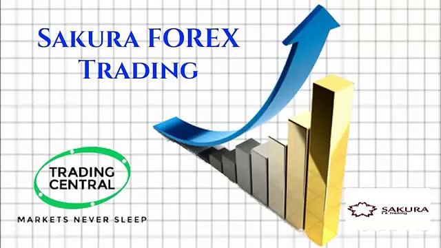 Company Mission – Sakura FX Trading