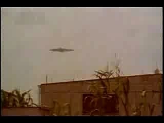 Travis - Side--www.dule616.blog.com.mk