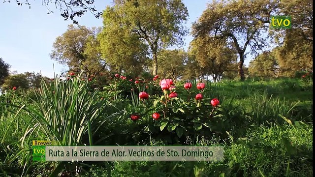 TVO-1190 (14 ABRIL 2016)