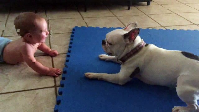 Good friend always know how to make you happy. Dog play with child